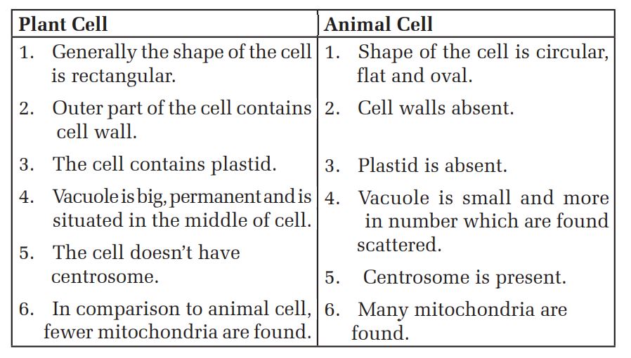 Cell Structure in Grade-6, Reference Note | Online Notes Nepal