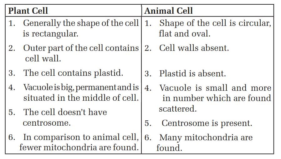 Cell Structure in Grade-6, Reference Note | Online Notes Nepal Cell Structure in Grade-6, Reference Note | Online Notes Nepal