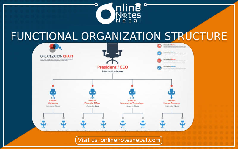Functional Organization Structure photo