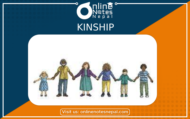 Kinship[PHOTO]