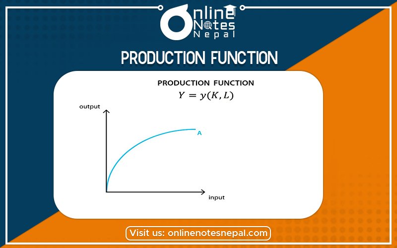 Production Function in Grade 12