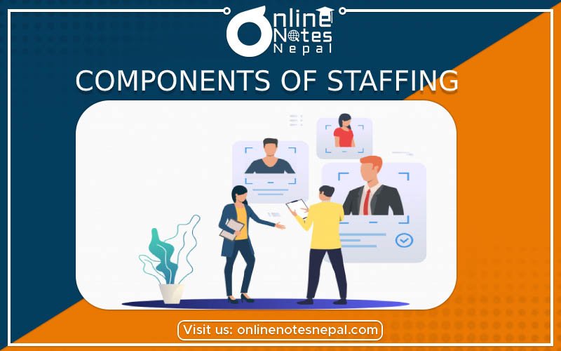 Components of Staffing photo