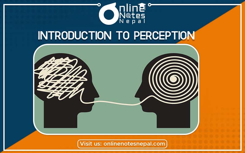 Introduction to Perception Photo