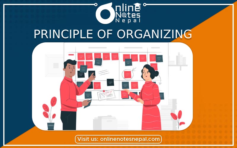 Principle Of Organizing photo