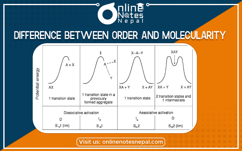 Difference Between Order And Molecularity of Reaction in Grade 12