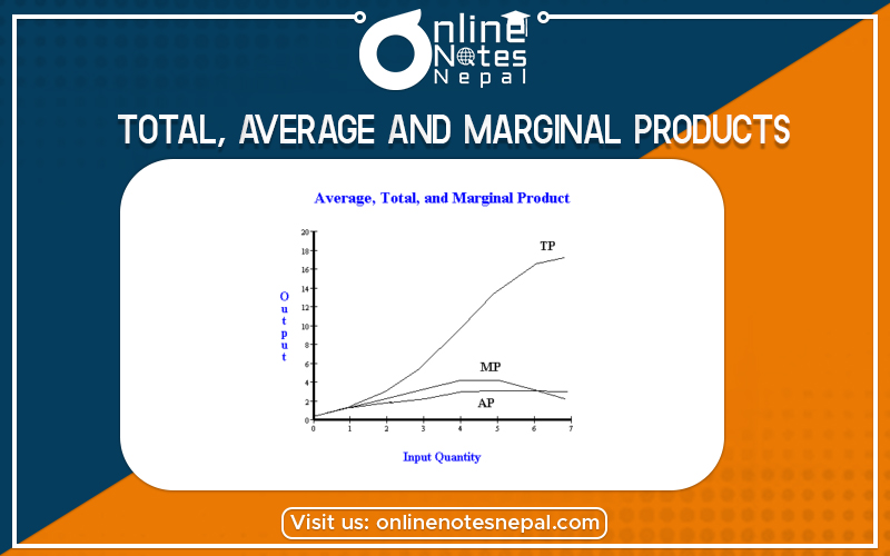 The Relation Between Total, Average and Marginal Products in Grade 12