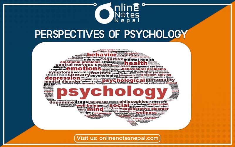 Perspectives of Psychology Photo