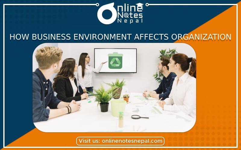 How Environment Affects Organization Photo