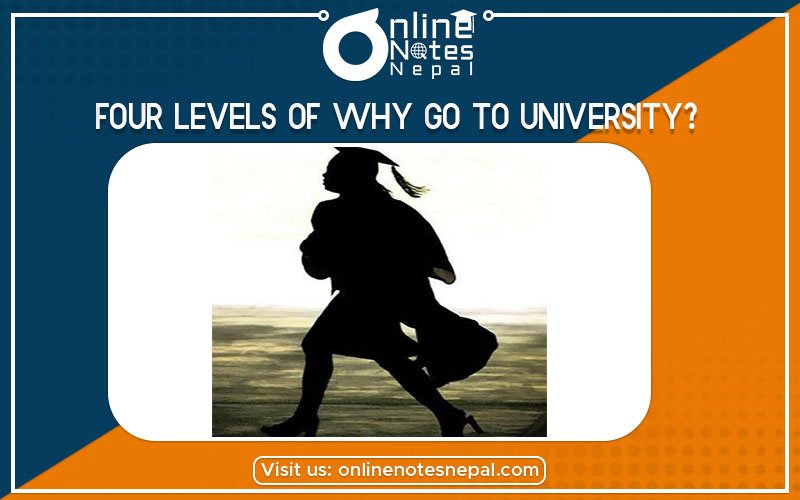 Four levels of Why go to University? photo