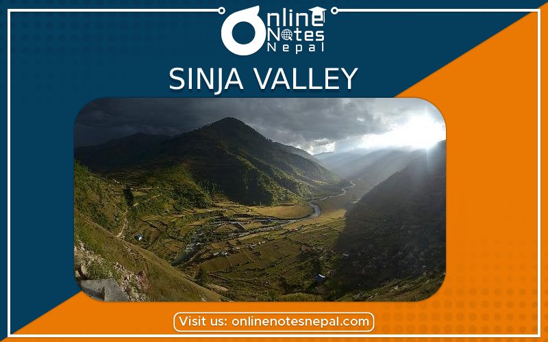 Sinja Valley in Grade 6