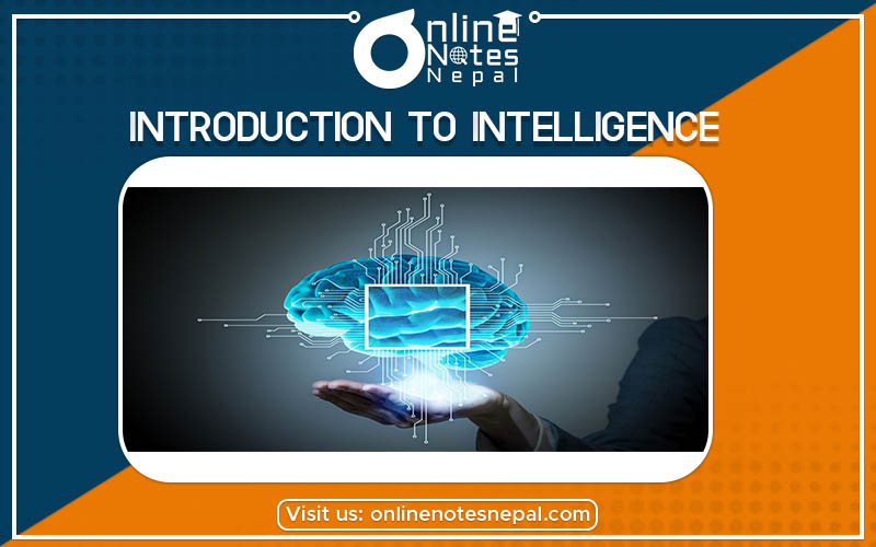 Introduction to Intelligence Photo