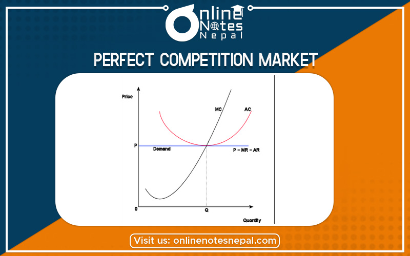 Perfect Competition Market in Grade 12 Economics