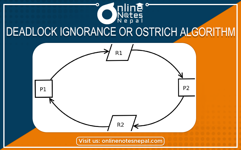 Deadlock Ignorance or Ostrich Algorithm Photo