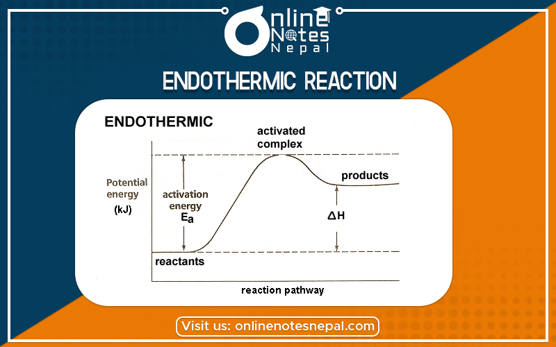 Endothermic Reaction in Grade 12