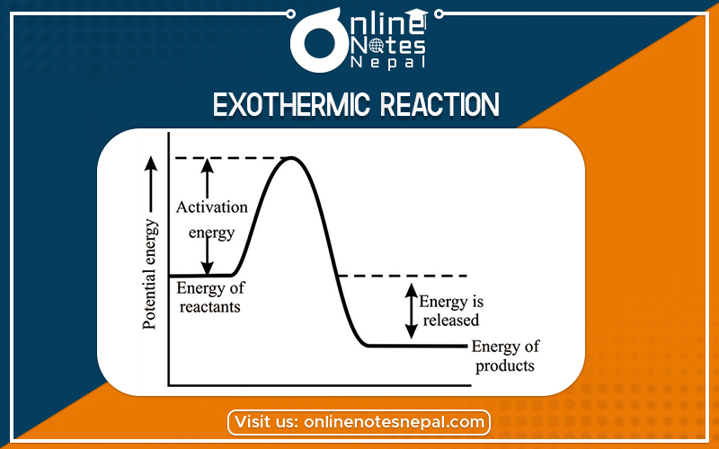 Exothermic Reaction in Grade 12