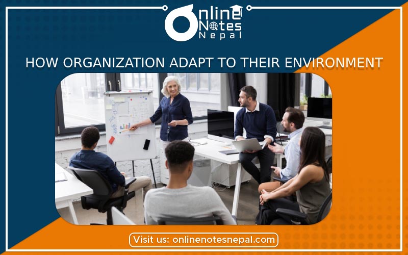How Organizations Adapt to their Environment photo