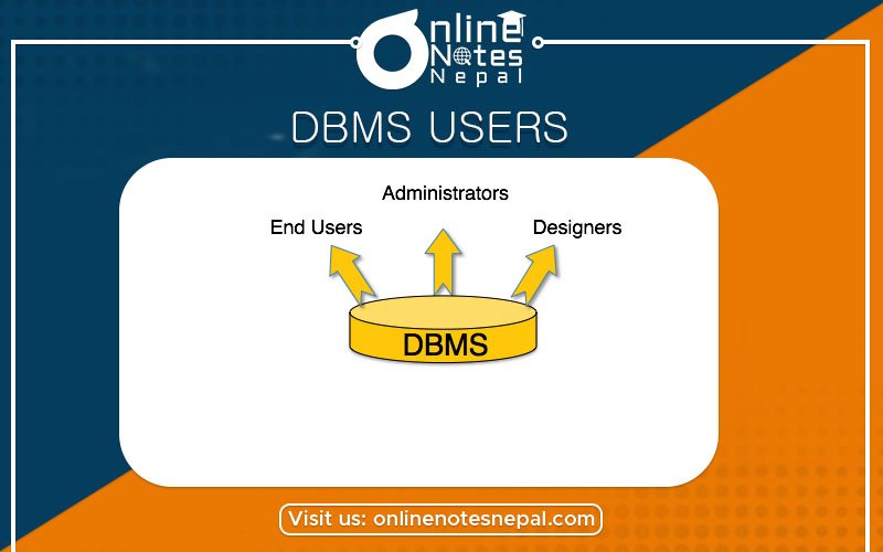 Users of Database Management System - Photo