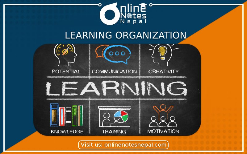 Learning Organizations Photo