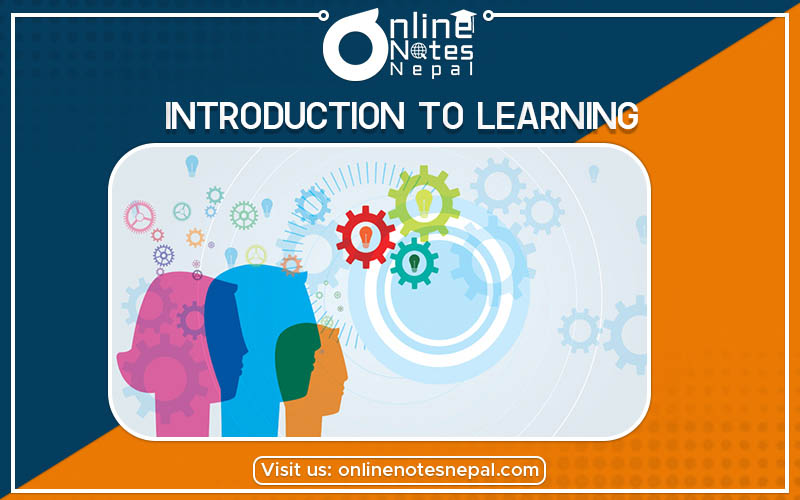 Introduction to Learning Photo