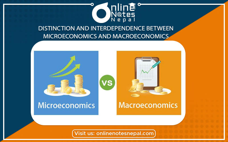 Distinction and Interdependence Between Microeconomics and Macroeconomics photo