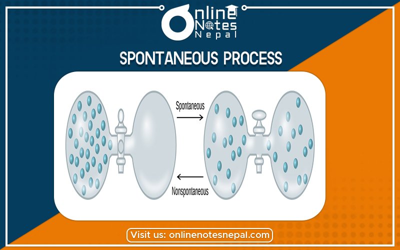 Spontaneous Process  in Grade 12