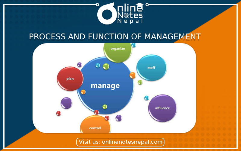 Process and Function of Management photo