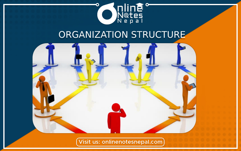 Organization Structure Photo