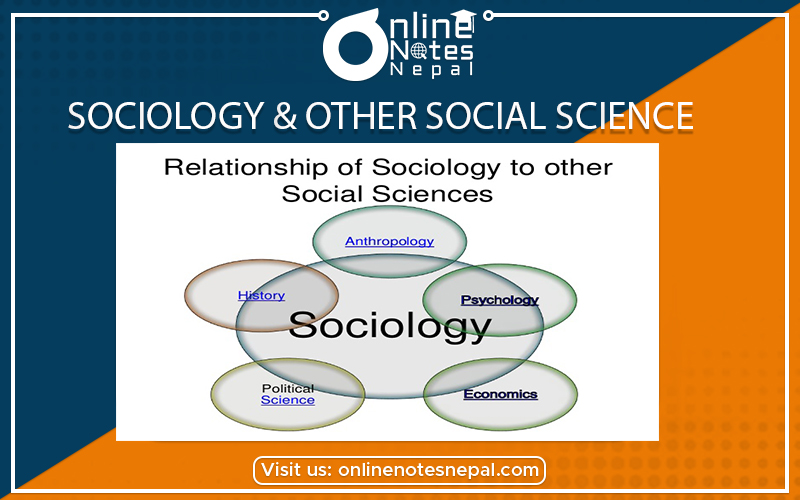 relationship between sociology and other social sciences