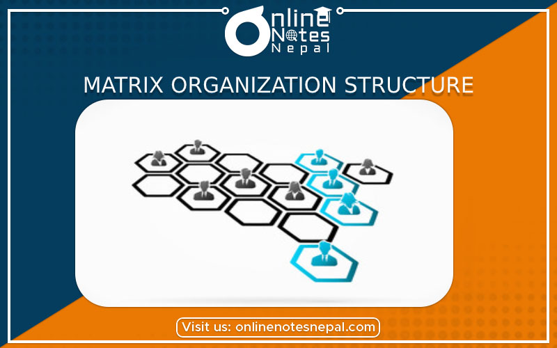 Matrix Organizational Structure  photo