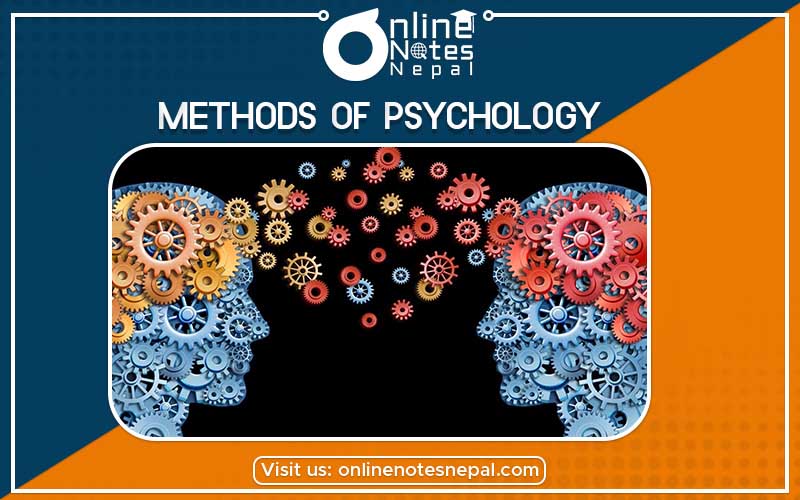 Methods of Psychology Photo