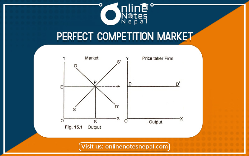 Perfect Competition Market in Grade 12 Economics