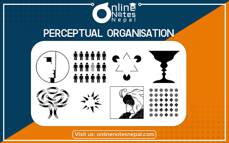 Perceptual Organization Photo