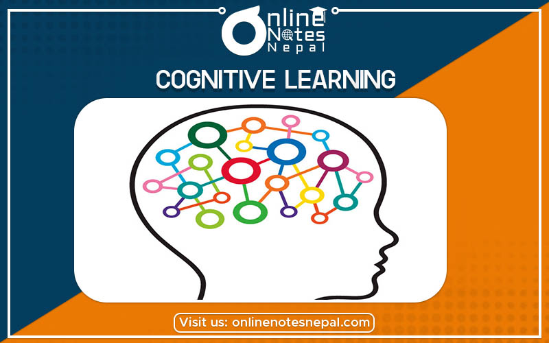 Cognitive Learning Photo