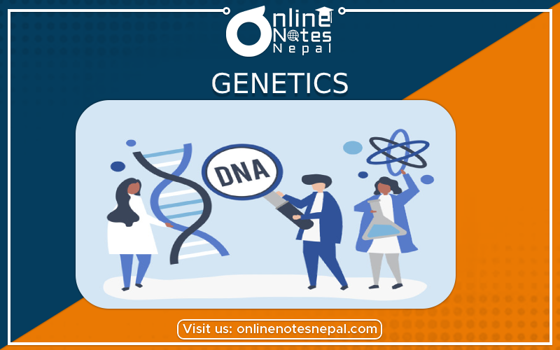 Genetics in Class 10 Science