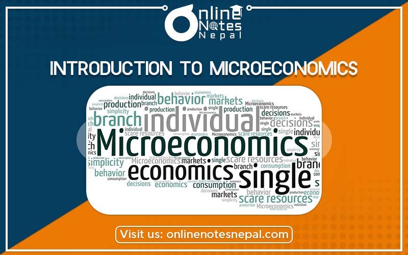 Introduction to Microeconomics Photo