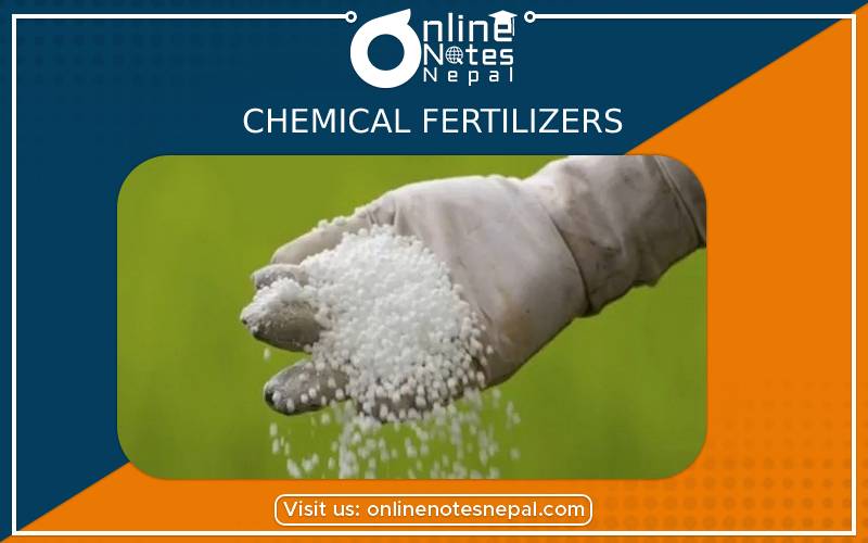Chemical Fertilizers in Grade 9 Science, Reference Notes