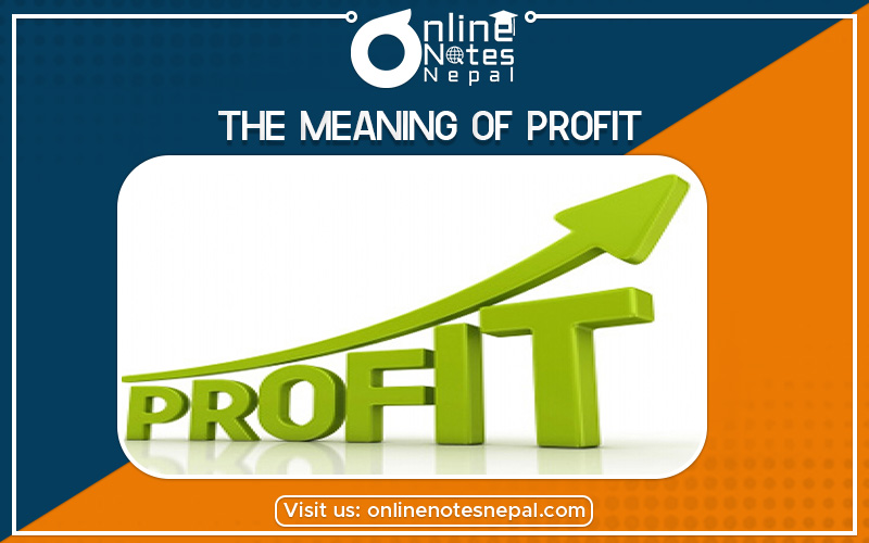 The Meaning of Profit in Grade 12