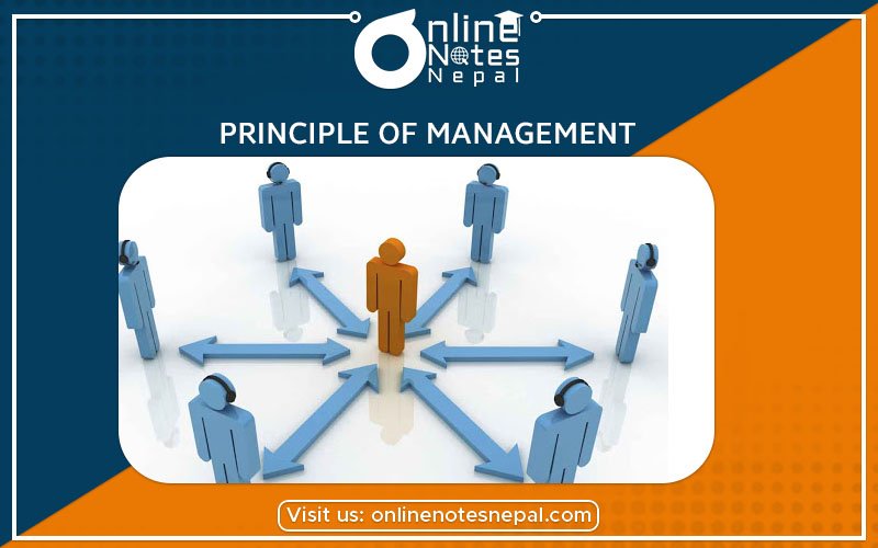 Principles of Management Photo