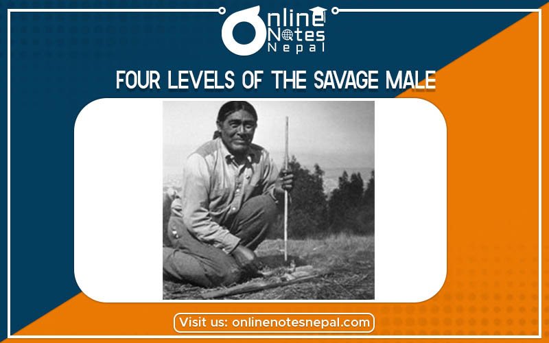 Four levels of The Savage Male photo